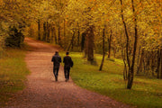 Zwei Menschen gehen nebeneinander einen Weg durch einen herbstlichen Laubwald