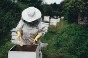 Imker in Schutzkleidung arbeitet an seinen Bienenstöcken am Waldrand