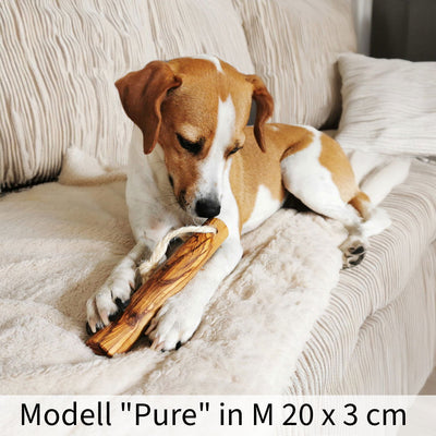 Kauknochen aus Olivenholz - Hundeknochen Kauholz Kauspielzeug