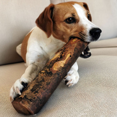 Kauknochen aus Olivenholz - Hundeknochen Kauholz Kauspielzeug