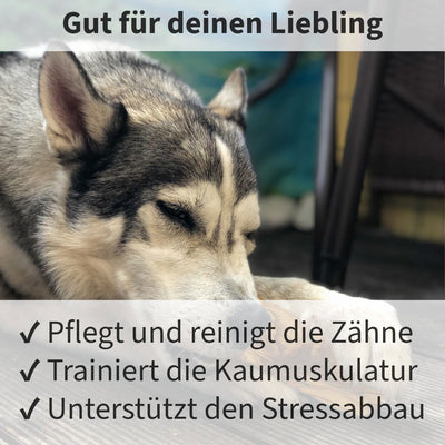 Kauknochen aus Olivenholz - Hundeknochen Kauholz Kauspielzeug