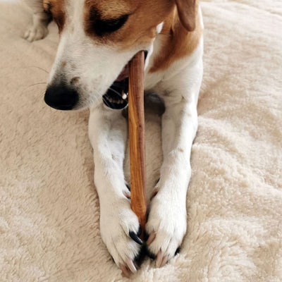 Kauknochen aus Olivenholz - Hundeknochen Kauholz Kauspielzeug