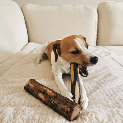 Kauknochen aus Olivenholz - Hundeknochen Kauholz Kauspielzeug