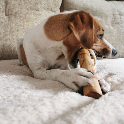 Kauknochen aus Olivenholz - Hundeknochen Kauholz Kauspielzeug