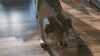 Hundeknochen Wollknochen Kauspielzeug für Hunde, handgefertigt und 100% Bio